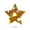 Gold, variant on 1000 Pcs Star Stickers, 1'' Adhesive Glitter Foil Star Sticker for Behavior Chart, Student Planner, Back-to-School Supplies, 1 Roll