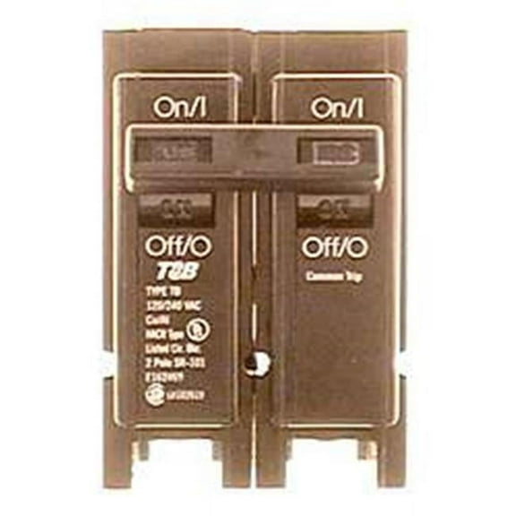 Connecticut-view Pak 100 Amp Dual Pole Circuit Breaker