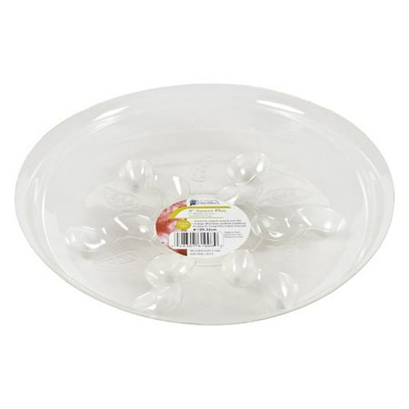 - Gardner's Blue Ribbon Saucer