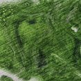 thumbnail image 2 of Dalyn Rugs Premium Machine Washable Mayfield AMF682 Lime 3' x 5' Rug, 2 of 7