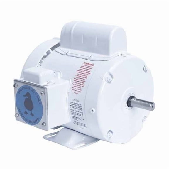 Leeson Washdown Motor,1/2 HP,1725 rpm,115/230V 112431.00