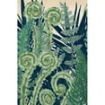 thumbnail image 3 of McCavitt, Naomi 17x24 Black Modern Framed Museum Art Print Titled - Fiddlehead Waltz I, 3 of 5