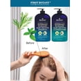thumbnail image 2 of Peppermint Rosemary Hair Regrowth and Anti Hair Loss Shampoo and Conditioner Set - Daily Hydrating, Detoxifying, Volumizing Shampoo and Fights Dandruff For Men and Women 16 fl oz x 2, 2 of 6