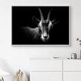 thumbnail image 3 of IDEA4WALL Framed Canvas Art Wall Decor Blackbuck Goat Animals Wildlife Photography Realism Modern Closeup Dramatic Black and White for Dorm Home Office - 16"x24", 3 of 4