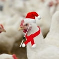 thumbnail image 3 of putnchl Pet Christmas Dressup Set,1set Chicken Guinea Pig Lizard Pet Christmas Dressup Set, 3 of 4