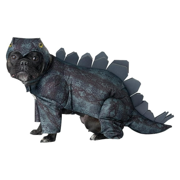 Stegosaurus Dog Md