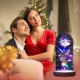 thumbnail image 5 of Eternal Roses Beauty And Animal Rose Kit In Glass Dome Led Lights Artificial Flowers Rose Gifts For Women Mum Gift, 5 of 5