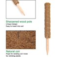 thumbnail image 1 of Paquete de 2 soportes para plantas trepadoras, palo extensible de musgo de coco, 1 of 5