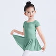 thumbnail image 5 of Bovxnpu Gymnastics Leotards for Girls, Girls Sleeveless Dance Leotards with Skirt Classic Gymnastic Ballerina Outfit Dress 16-17 Years, 5 of 9