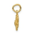 thumbnail image 2 of 14K Yellow Gold Charm Pendant Themed 20 mm 10 Cancer Zodiac, 2 of 3