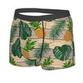 thumbnail image 2 of Haiem Pineapples Palm Leaves Men's Boxer Briefs, Every Day Comfort Stretch Cotton Moisture-Wicking Underwear-Medium, 2 of 9
