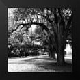 thumbnail image 2 of Hausenflock, Alan 15x15 Black Modern Framed Museum Art Print Titled - Charleston Oaks Sq IX, 2 of 5