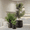 Black, variant on Large Concrete Planters Set of 3, Big Round Outdoor Indoor Garden Pots with Drainage Hole & Rubber Plug, 18/13/9 Inch Diameter, Planter Set, Bonsai Pot with Drainage, Large Pot Planter,Bonsai Planter