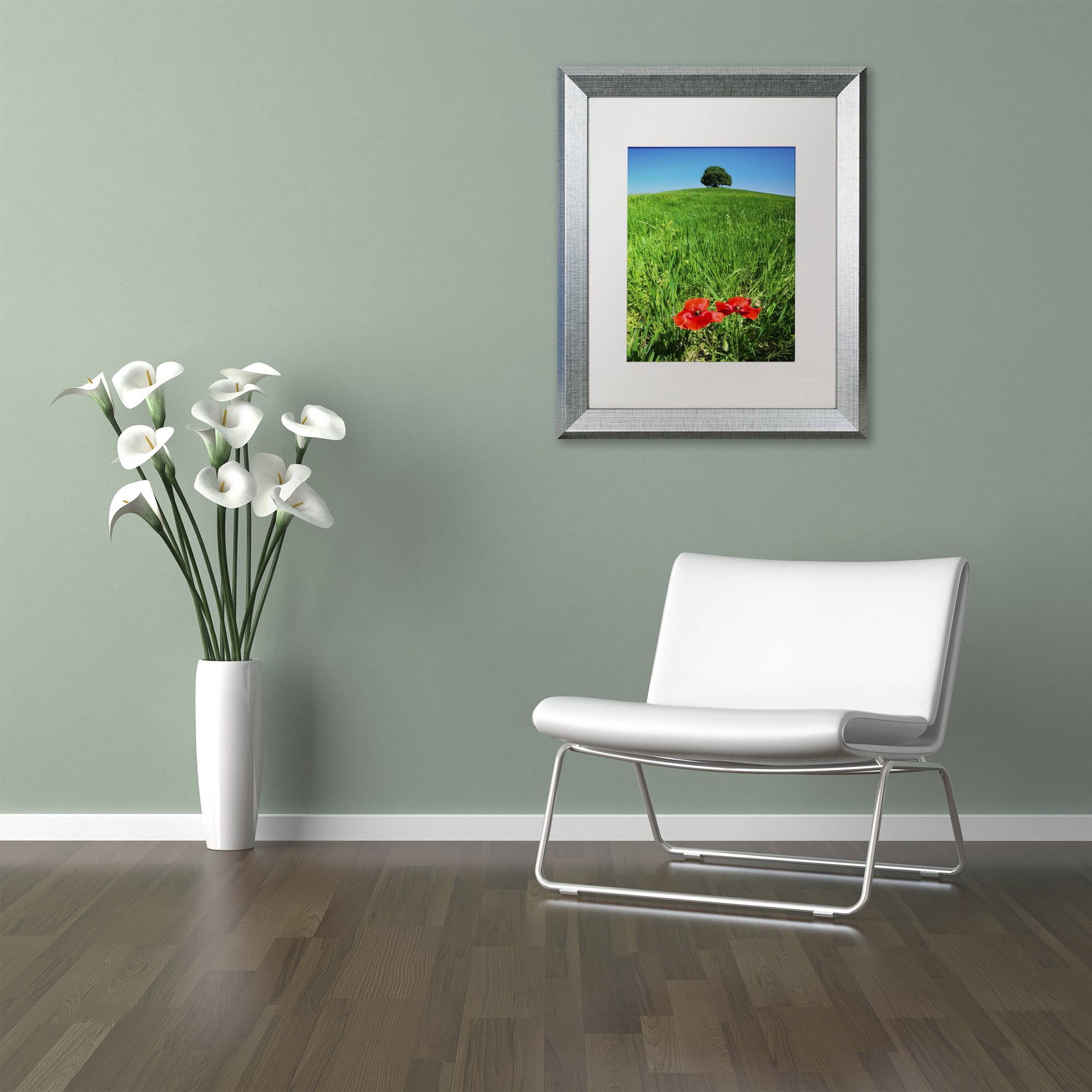 Trademark Fine Art 'Red Poppies and Oak' Canvas Art by Michael Blanchette Photography, White Matte, Silver Frame