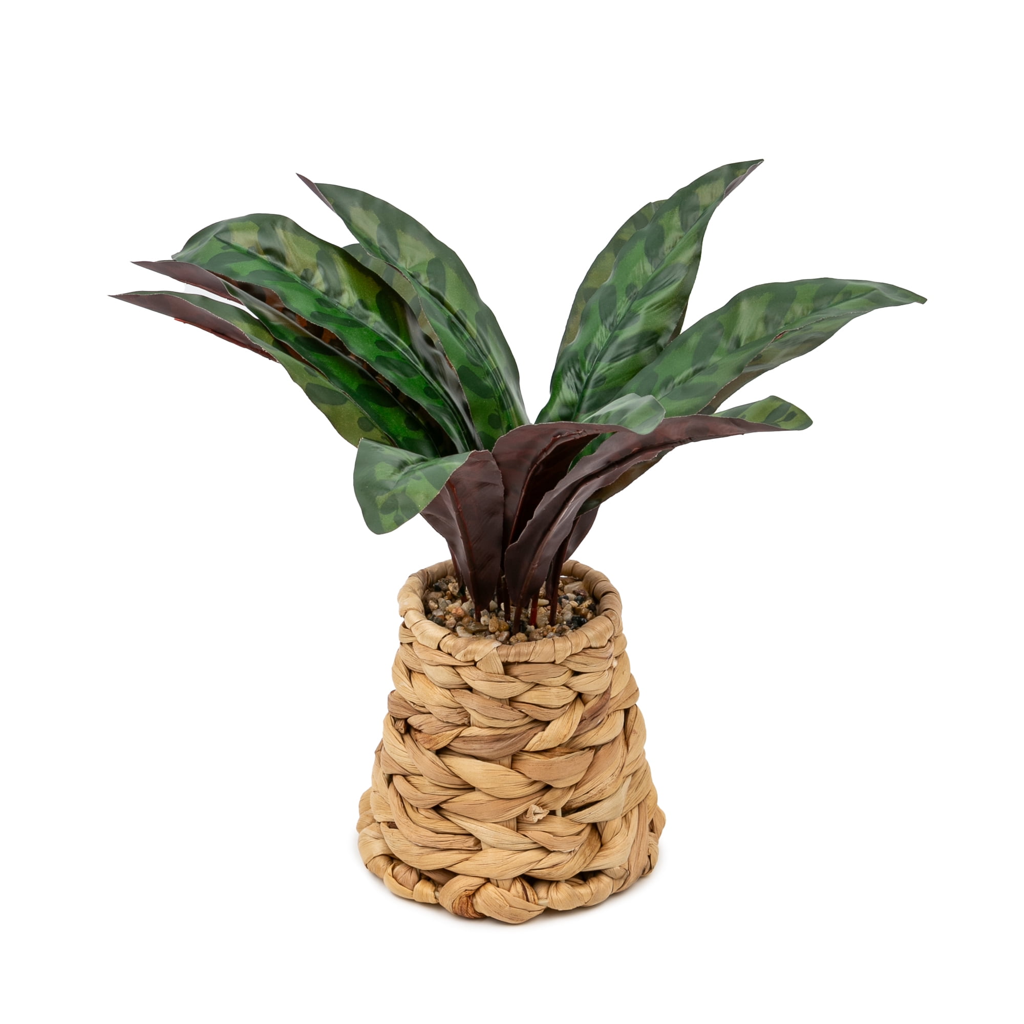 Better Homes & Gardens Artificial Rattlesnake Plant in Rattan Vase, 13"