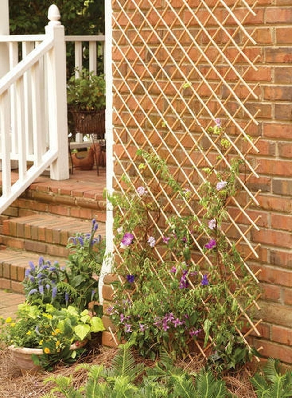 Backyard X-Scapes 72" L x 32" H x 0.5" D Peeled Willow Wood Trellis Plant Support