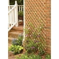 thumbnail image 4 of Backyard X-Scapes 72" L x 32" H x 0.5" D Peeled Willow Wood Trellis Plant Support, 4 of 4