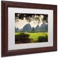 thumbnail image 2 of Trademark Fine Art "Natural Dreams" Canvas Art by Philippe Hugonnard, White Matte, Wood Frame, 2 of 4