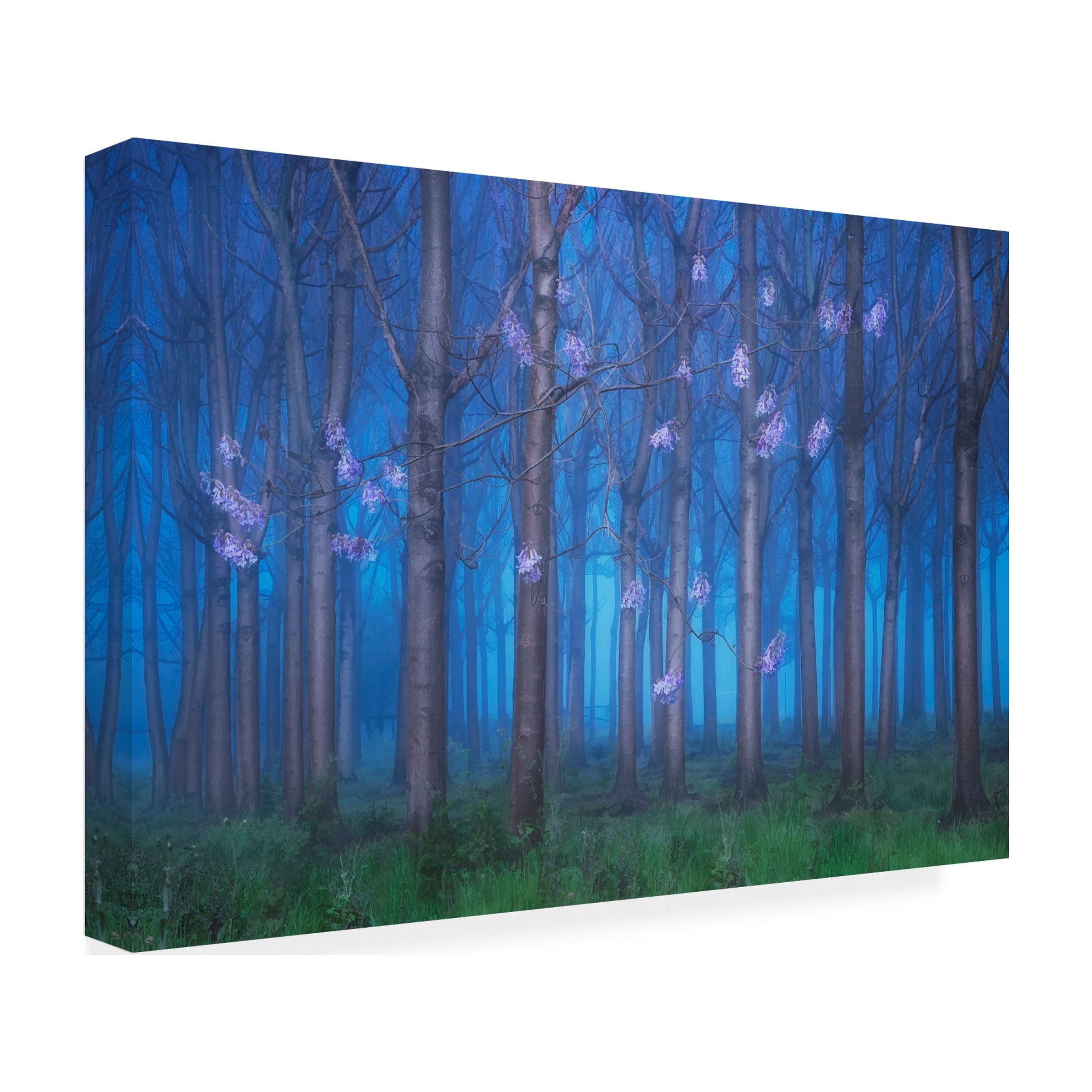 Jingshu Zhu 'Fairyland' Canvas Art