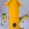 thumbnail image 6 of Perky-Pet Yellow Metal Tube Wild Bird Feeder, 6 of 13