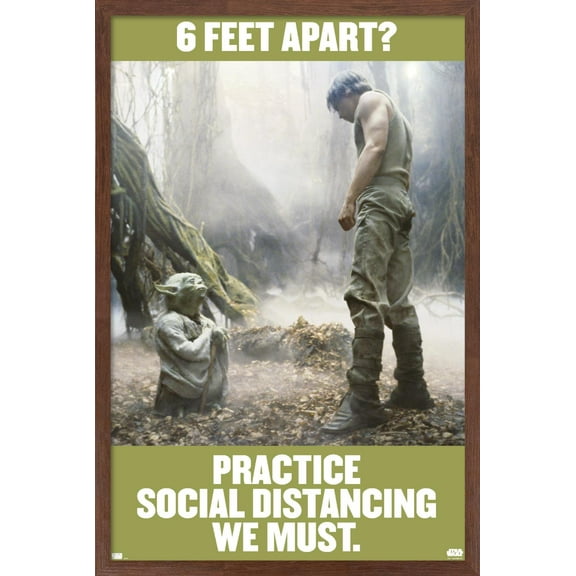 Star Wars: Saga - Luke and Yoda Social Distancing Wall Poster, 22.375" x 34", Framed