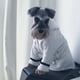 thumbnail image 2 of MERRYHAPY De Para Perros Con Capucha Y Multicolor, 2 of 8
