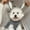 Gray-S/S, variant on Dog Cloak Cape Winter Warm Thick Soft Fleece Shawl for Small Medium Dogs Cats