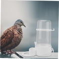 thumbnail image 4 of FUEENIRVA 2Ud Bebedero Automático De Plástico Para Gallinas Y Codornices, 4 of 8