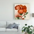thumbnail image 3 of Trademark Fine Art 'Cropped Turpin Tropicals VIII' Canvas Art by Vision Studio, 3 of 4