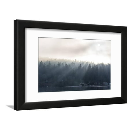 washington state shafts of morning light piercing fog washington state fog light law