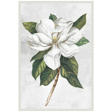 Amanti Art Pearly Beauty I Framed Canvas Wall Art Print