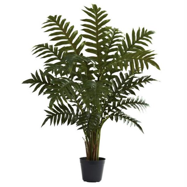 Plante à Feuilles Persistantes 3.5 Pieds'