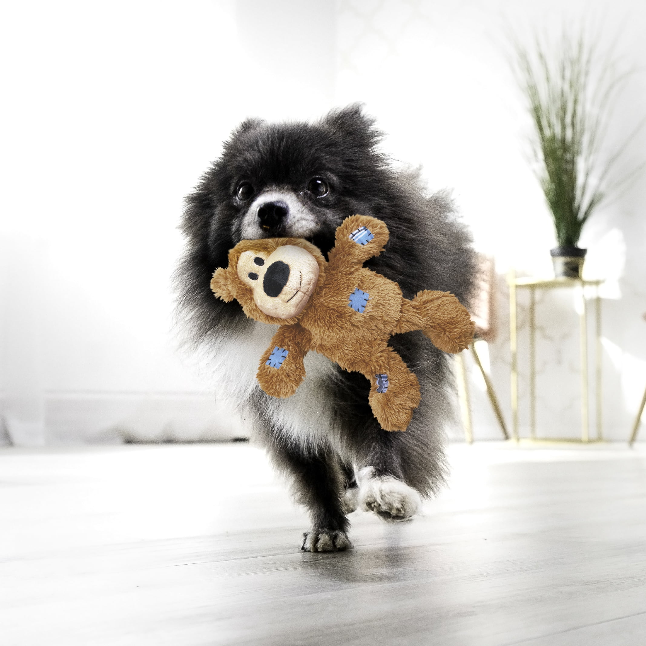 KONG® Wild Knots Internal Knotted Rope Skeleton Dog Toy, Bear, Small/Medium