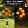 thumbnail image 6 of Rirool Solar Orange Hydrangea Garden Stake Lights, 3-Head Warm White LED Outdoor Waterproof Flower Pathway Lights for Yard Lawn Patio, Dusk-to-Dawn Decorative Landscape Lights, 2 Pack, 6 of 8