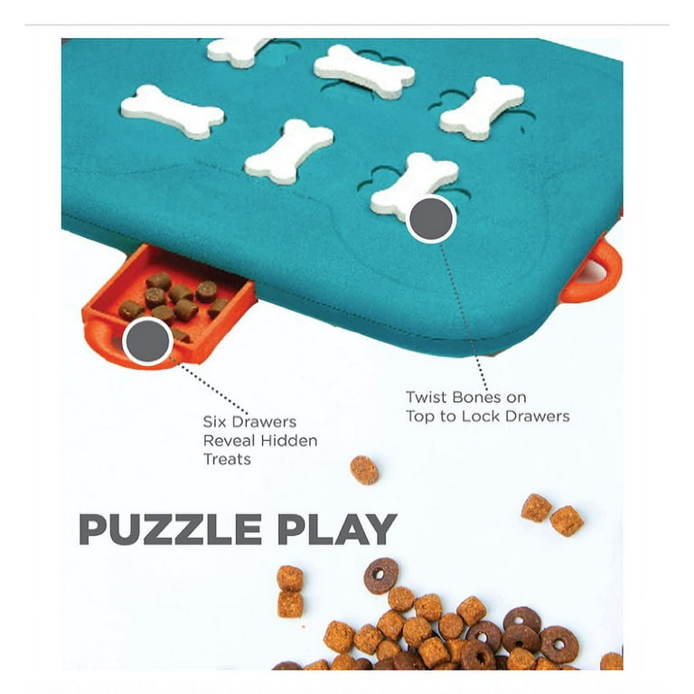 Outward Hound Nina Ottosson Dog Casino Interactive Treat Puzzle Dog Toy  Turquoise Delivery in Clarksville, TN
