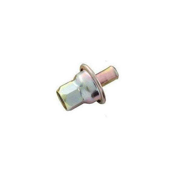 Evacuation Check Valve