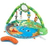 Little Tikes Baby Sway n Play Activity Gym