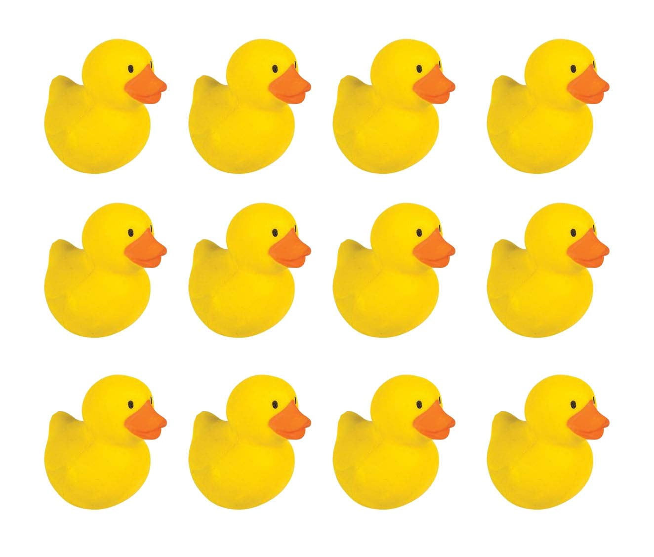 squishy duck