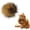 1pcs#001, variant on Soft Rabbit Fur Catnip Balls, Fluffy Faux Fur Cat Toys for Indoor Play, Washable & Fun to Chase for Exercise and Bonding (3pcs)