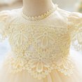 thumbnail image 6 of IBTOM CASTLE Baby Girl Christening Lace Tulle Dress, Newborn Floral Flower Kids Skirt, Toddler Birthday Wedding Party Princess Gown Champagne, 6 of 7
