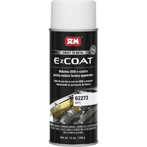 EZ Coat Aerosol Paint, White
