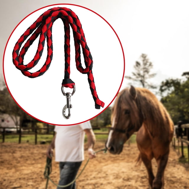 Cuerda de para caballos, cuerda para caballos que se fija al cabestro o arnés, cuerda de ecuestre duradera con gancho de presión Rojo 4 Metros