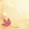 thumbnail image 3 of Great Papers! Feuilles d'Automne 10 Enveloppe Coordonnée, 25 Unités, 9.5 Pouces x 4.125 Pouces (902432), 3 of 3