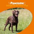 thumbnail image 4 of Zesty Paws Omega Chicken Daily Soft Chews Dog Supplement, 4 of 4