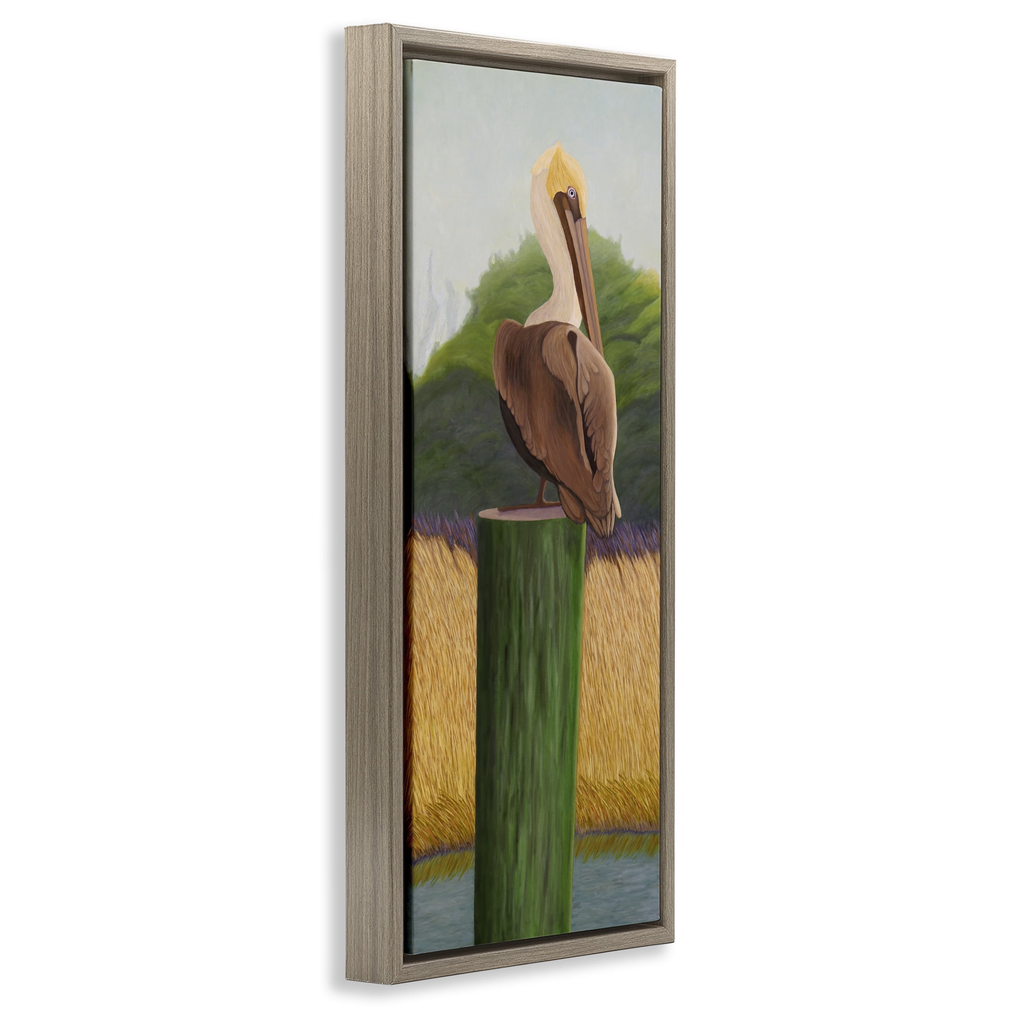 Stupell Industries Pelican with Blue Eyes Brown Framed Floater Canvas Wall Art, design by Barbara Fallenbaum