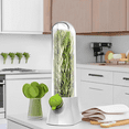Winyuyby Fresh Herb Keeper For Refrigerator,Space Saving Cilantro