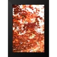 thumbnail image 2 of Millet, Karyn 11x14 Black Modern Framed Museum Art Print Titled - In the Trees I, 2 of 5