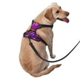 thumbnail image 3 of Lsque Geometry Dash Dog Harness, No-Pull Pet Harness with 2 Leash Clips, Adjustable Soft Padded Dog Vest with Easy Control Handle for Large Dogs-, 3 of 9