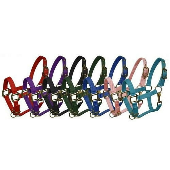 Pony Size Adjustable Triple Ply Nylon Halter w/ Brass Hardware (Black)