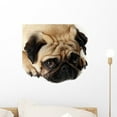 thumbnail image 1 of Sad Eyes Wall Mural Decal Sticker, Wallmonkeys Peel & Stick Vinyl Graphic (18 in W x 17 in H, 1 of 4